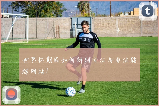 世界杯期间如何辨别合法与非法赌球网站？